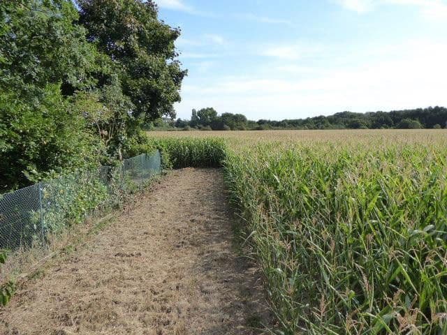 Predaj domu 190 m², pozemek 1.462 m², Düren, Severné Porýnie - Westfálsko Predaj domu 190 m², pozemek 1.462 m², Düren, Severné Porýnie - Westfálsko