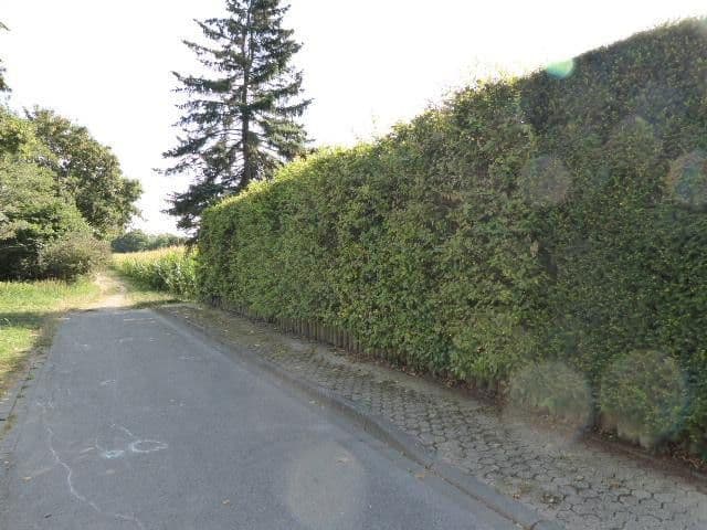 Predaj domu 190 m², pozemek 1.462 m², Düren, Severné Porýnie - Westfálsko Predaj domu 190 m², pozemek 1.462 m², Düren, Severné Porýnie - Westfálsko