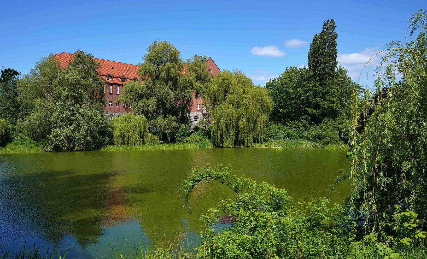 Prenájom bytu 2-izbový 62 m², Parkstr. 89 D, Berlin, Berlín Prenájom bytu 2-izbový 62 m², Parkstr. 89 D, Berlin, Berlín