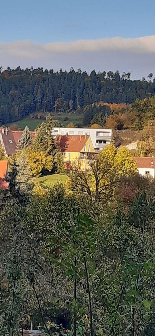 Predaj bytu 3-izbový 120 m², Haiterbach, Bádensko-Wurttembersko Predaj bytu 3-izbový 120 m², Haiterbach, Bádensko-Wurttembersko