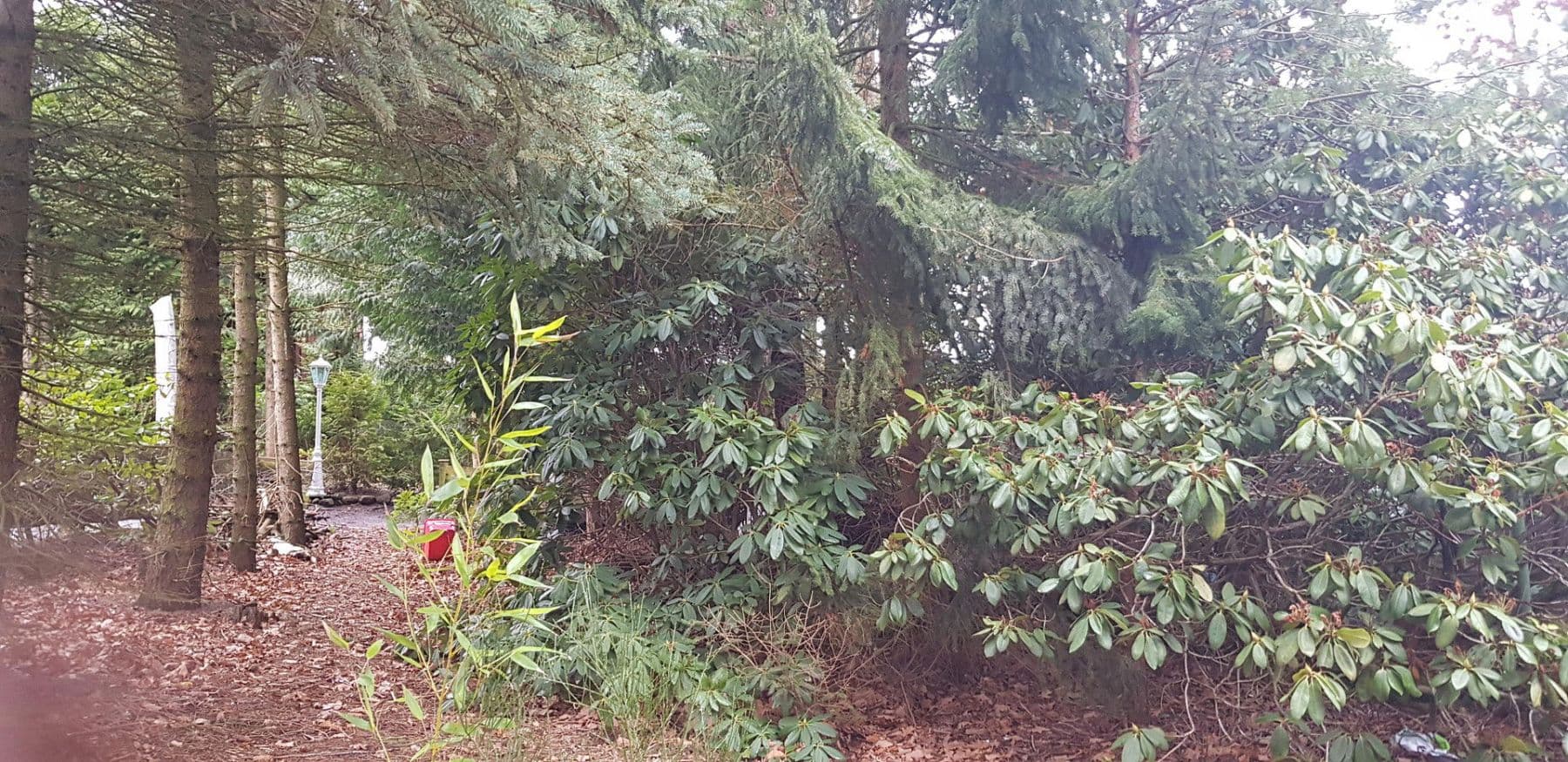 Predaj domu 200 m², pozemek 1.447 m², Johannes-Vogel-Str. 27, Seevetal, Dolné Sasko Predaj domu 200 m², pozemek 1.447 m², Johannes-Vogel-Str. 27, Seevetal, Dolné Sasko