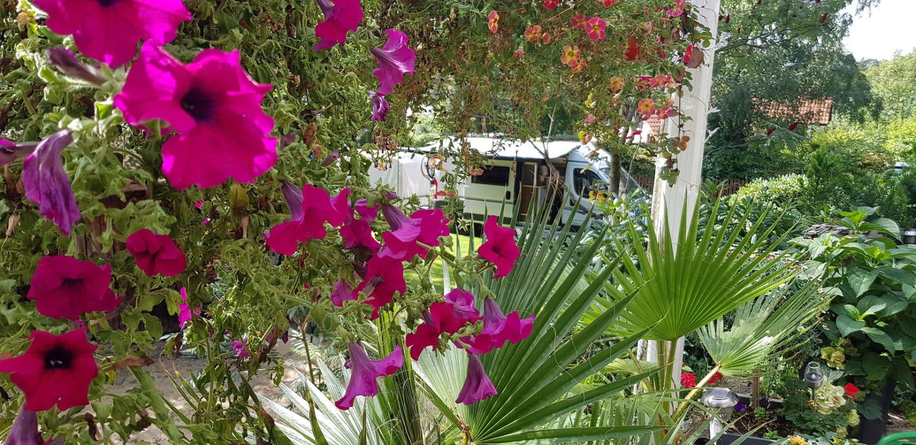 Predaj domu 200 m², pozemek 1.447 m², Johannes-Vogel-Str. 27, Seevetal, Dolné Sasko Predaj domu 200 m², pozemek 1.447 m², Johannes-Vogel-Str. 27, Seevetal, Dolné Sasko