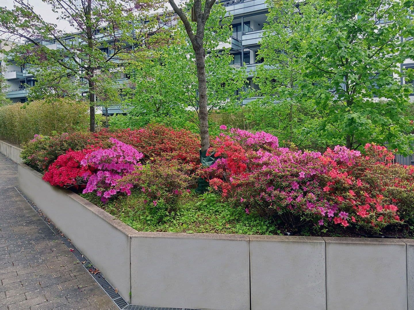 Predaj bytu 3-izbový 92 m², Кarlsruhe, Bádensko-Wurttembersko Predaj bytu 3-izbový 92 m², Кarlsruhe, Bádensko-Wurttembersko