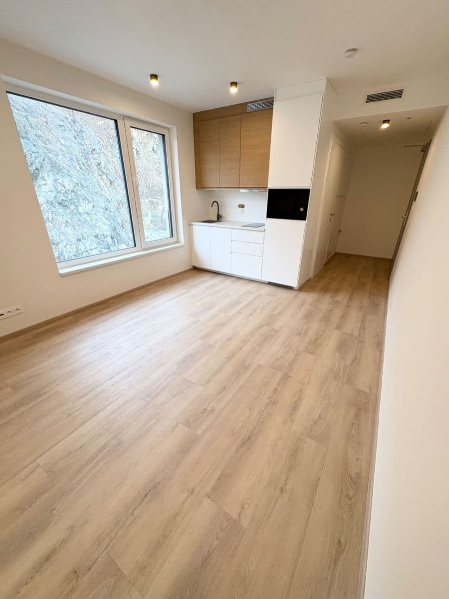 Prenájom bytu 1-izbový 25 m², Bystrcká, Brno, Jihomoravský kraj Prenájom bytu 1-izbový 25 m², Bystrcká, Brno, Jihomoravský kraj