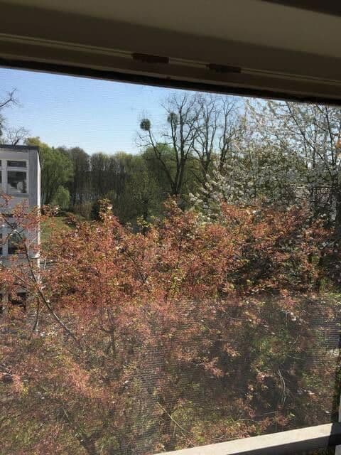 Predaj bytu 2-izbový 81 m², Potsdam Groß Glienicke, Brandenbursko Predaj bytu 2-izbový 81 m², Potsdam Groß Glienicke, Brandenbursko