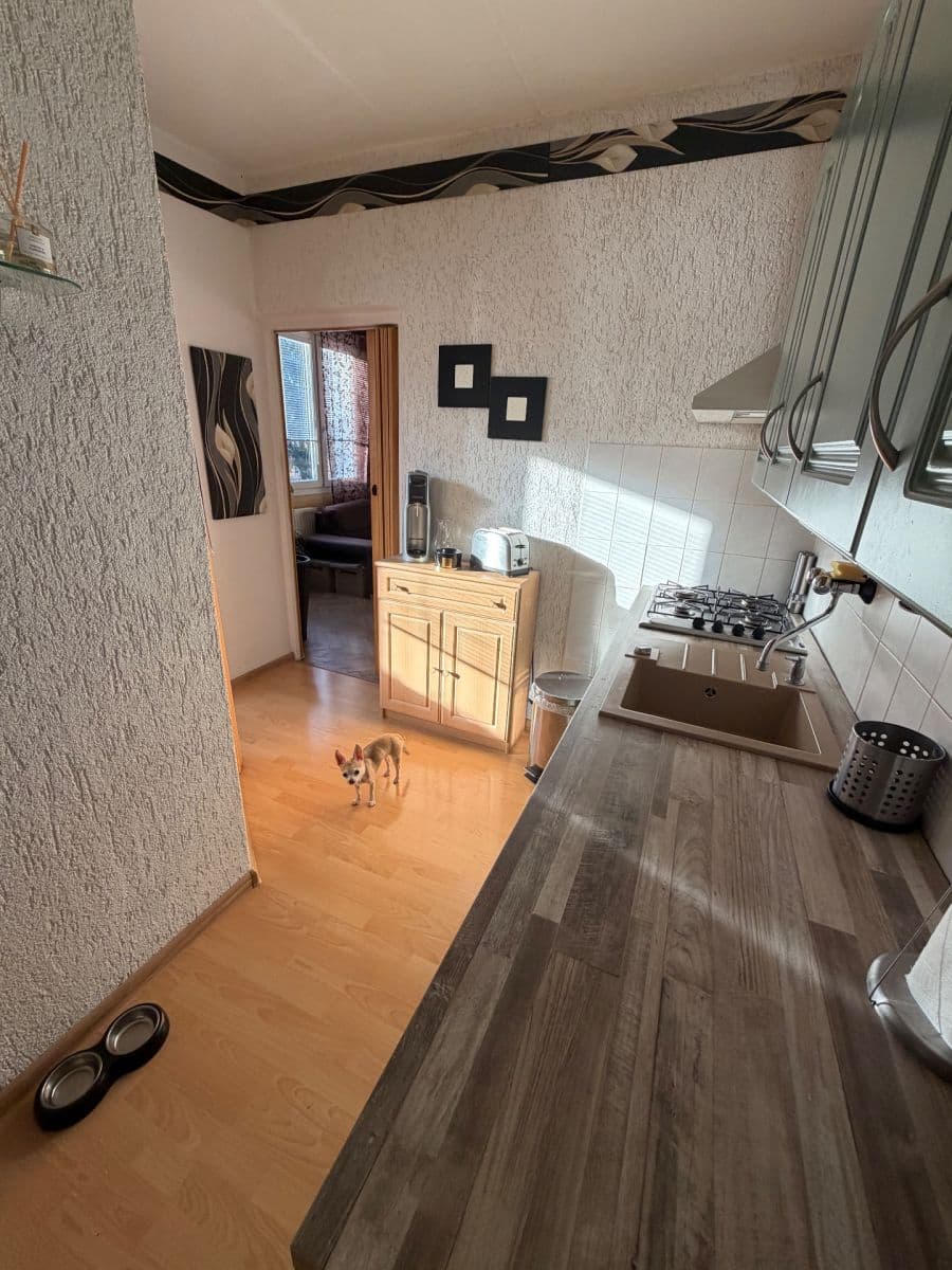 Predaj bytu 2-izbový 50 m², Maďarská, Karlovy Vary, Karlovarský kraj Predaj bytu 2-izbový 50 m², Maďarská, Karlovy Vary, Karlovarský kraj