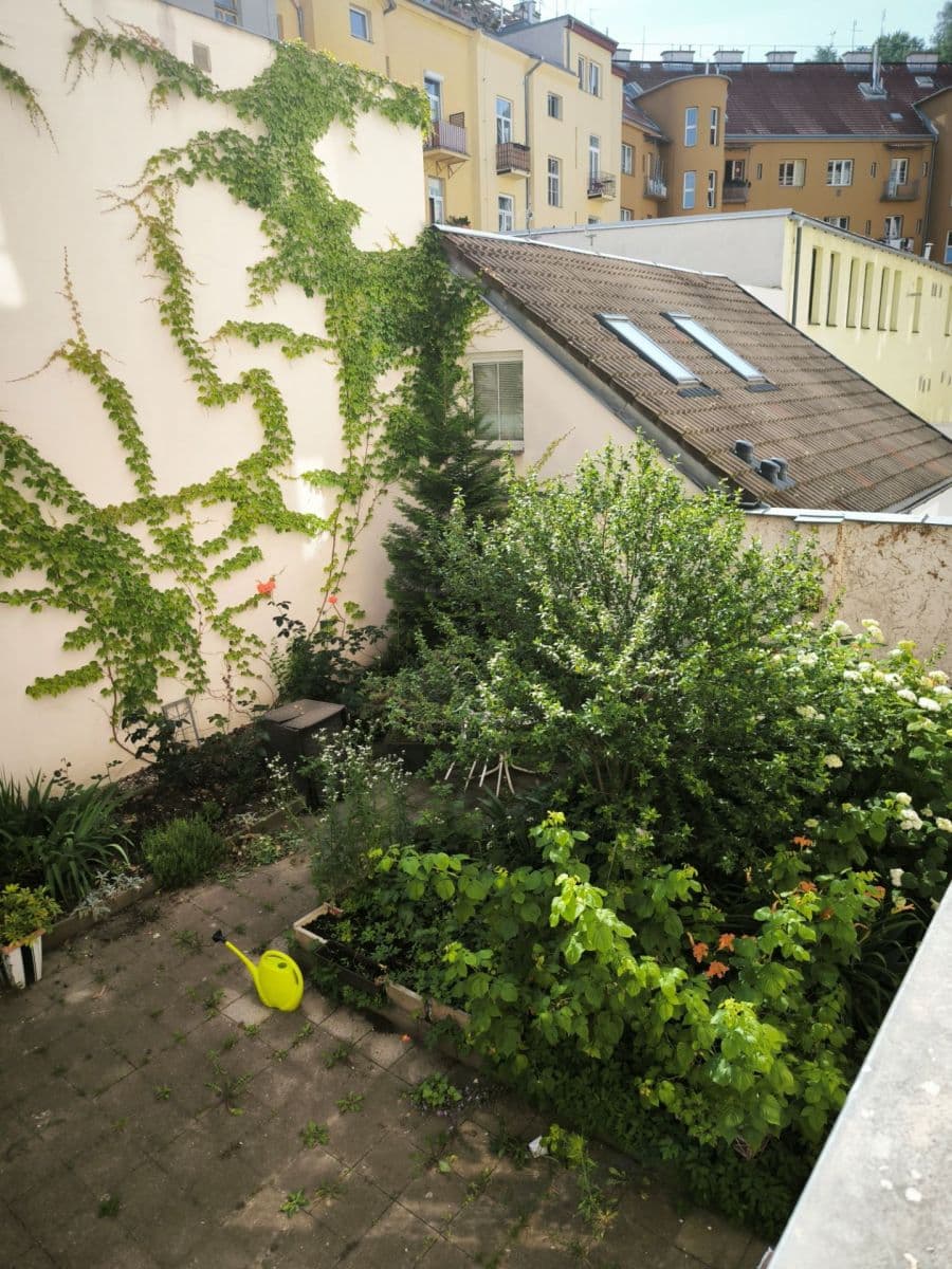 Prenájom bytu 2-izbový 45 m², Šaldova, Praha, Praha Prenájom bytu 2-izbový 45 m², Šaldova, Praha, Praha