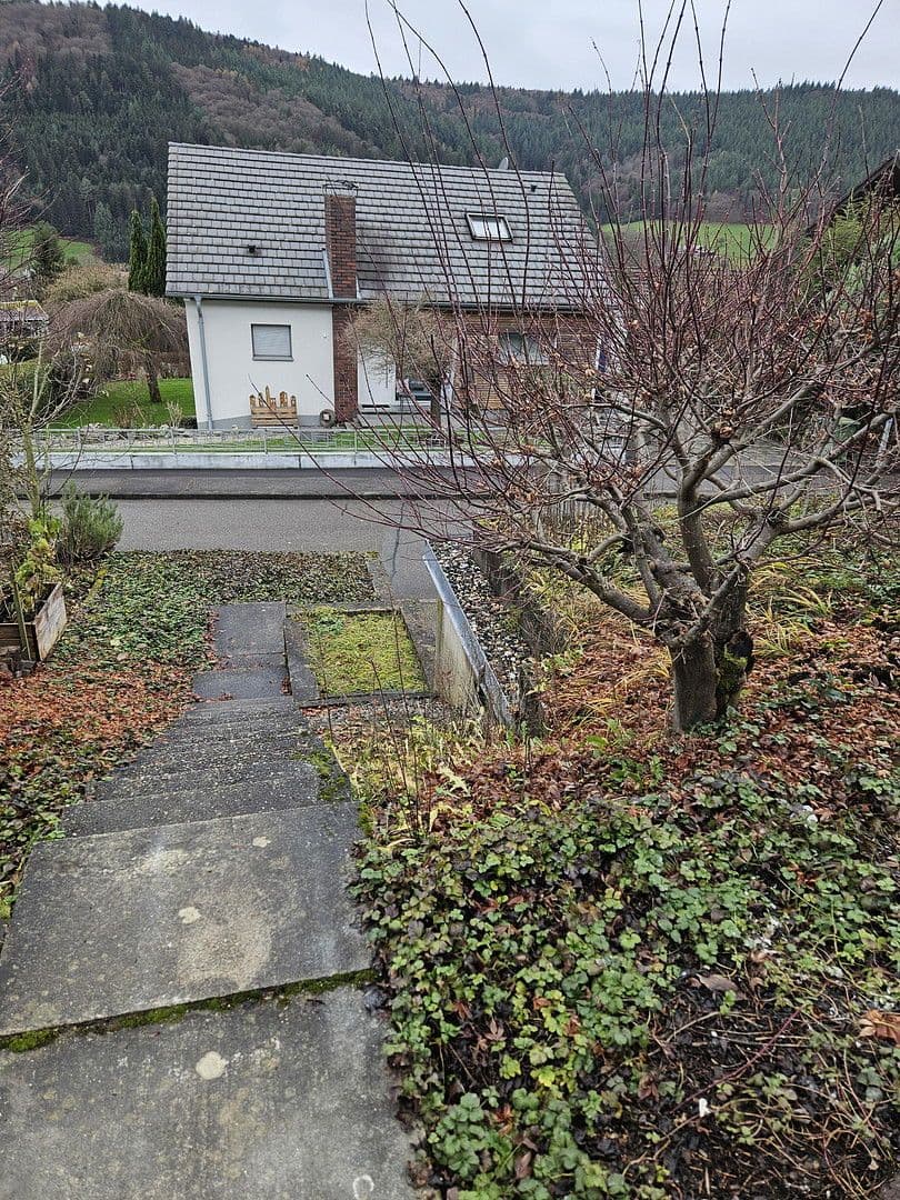 Predaj domu 153 m², pozemek 196 m², Seelbach, Bádensko-Wurttembersko Predaj domu 153 m², pozemek 196 m², Seelbach, Bádensko-Wurttembersko