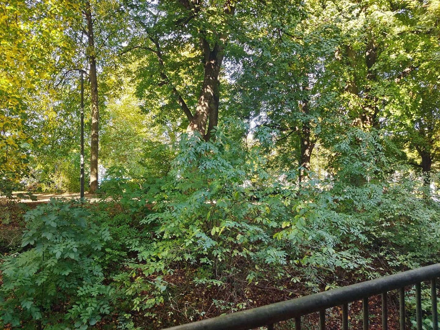 Predaj bytu 4-izbový 87 m², Geiststraße 3c, Göttingen, Dolné Sasko Predaj bytu 4-izbový 87 m², Geiststraße 3c, Göttingen, Dolné Sasko