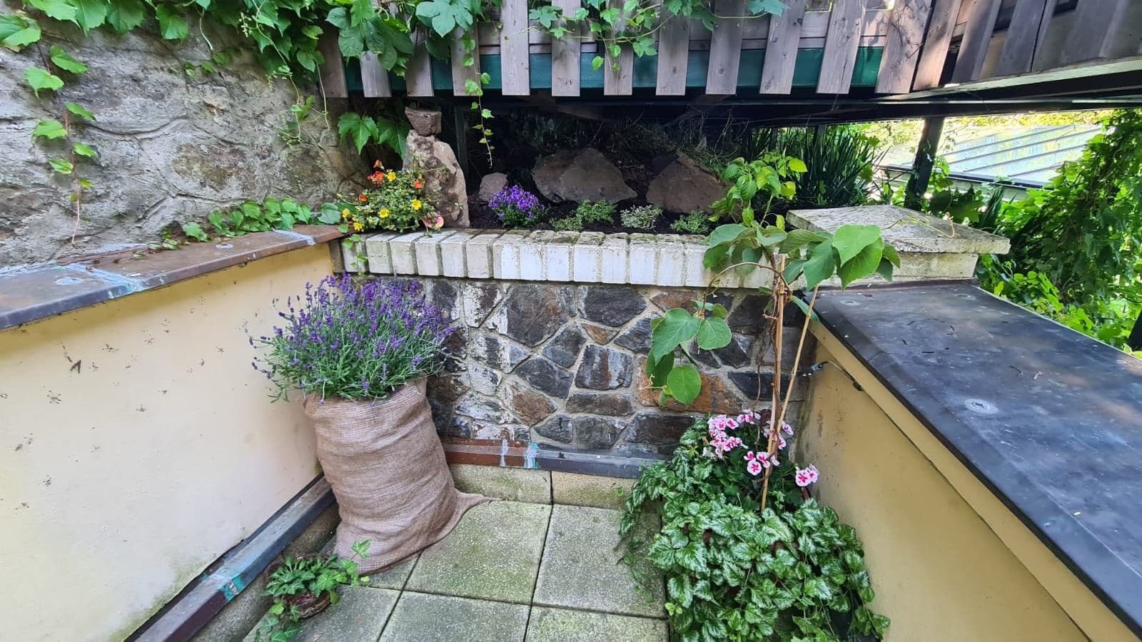 Prenájom bytu 1-izbový 22 m², V Šáreckém údolí, Praha, Praha Prenájom bytu 1-izbový 22 m², V Šáreckém údolí, Praha, Praha