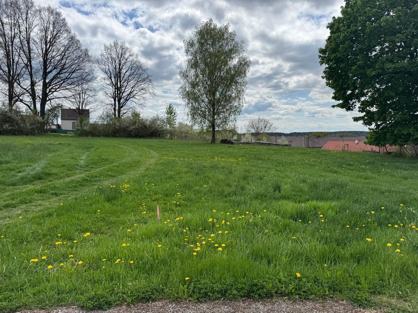 Predaj pozemku 1.131 m², Borovany, Jihočeský kraj Predaj pozemku 1.131 m², Borovany, Jihočeský kraj