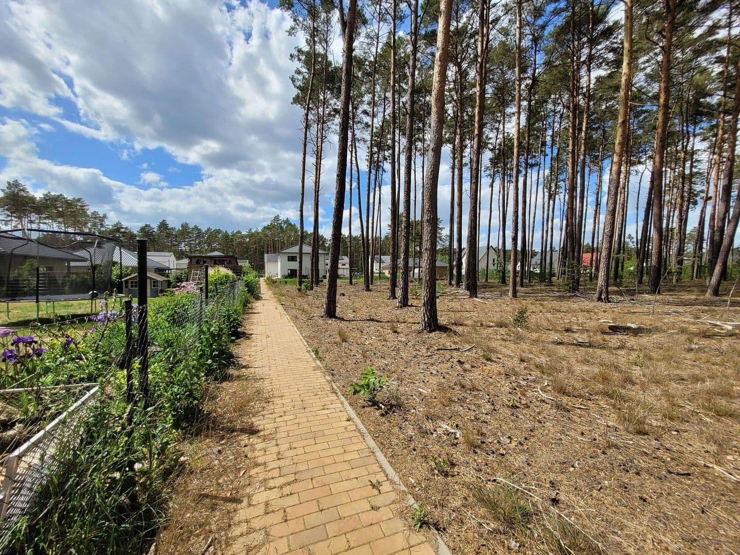 Predaj pozemku 1.081 m², Olof Palme Ring, Borkwalde, Brandenbursko Predaj pozemku 1.081 m², Olof Palme Ring, Borkwalde, Brandenbursko