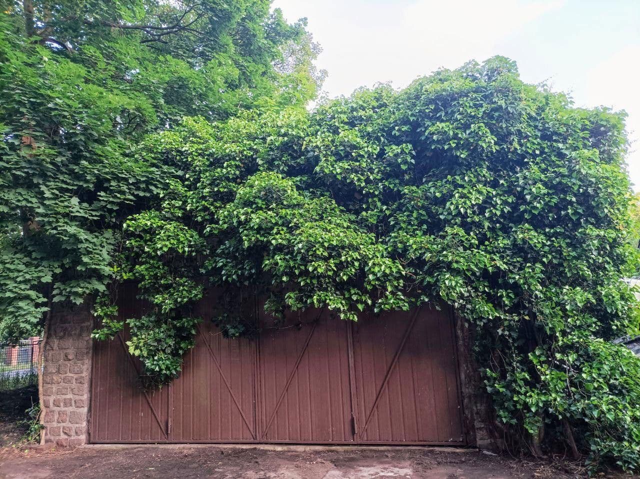 Predaj pozemku 500 m², Berlin, Berlín Predaj pozemku 500 m², Berlin, Berlín