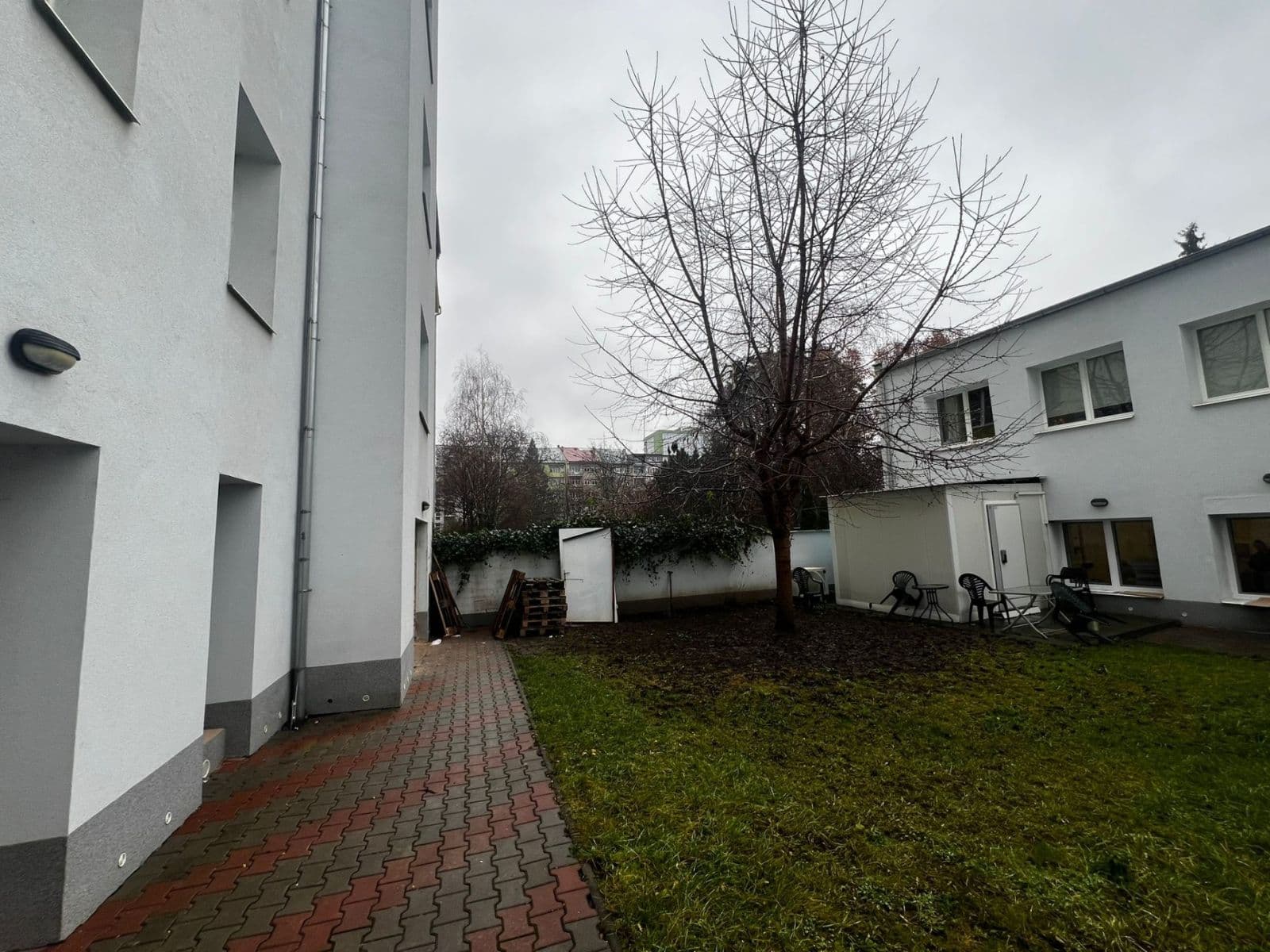 Prenájom bytu 2-izbový 30 m², Bayerova, Brno, Jihomoravský kraj Prenájom bytu 2-izbový 30 m², Bayerova, Brno, Jihomoravský kraj