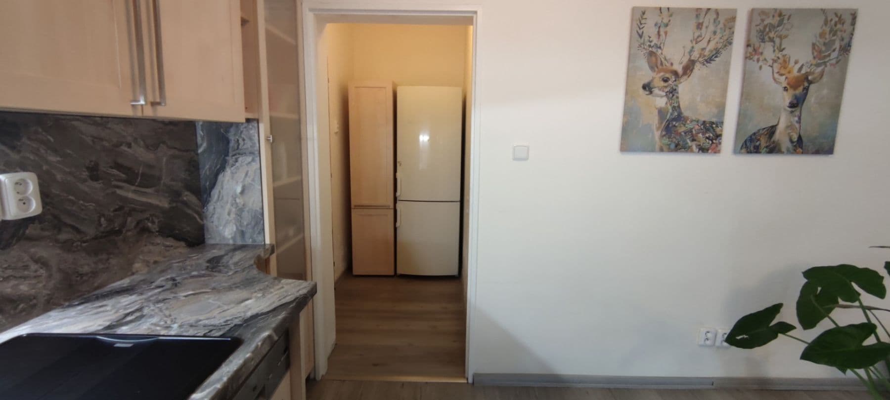 Prenájom bytu 2-izbový 64 m², Zátopkova, Milovice, Středočeský kraj Prenájom bytu 2-izbový 64 m², Zátopkova, Milovice, Středočeský kraj