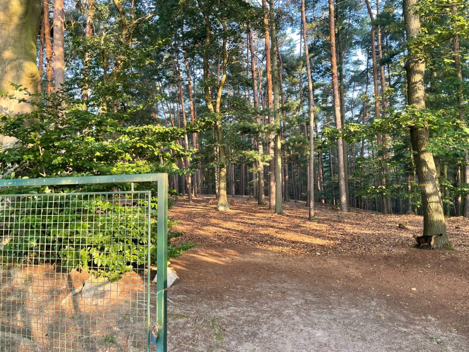 Predaj domu 73 m², pozemek 899 m², 23716, Líský, Středočeský kraj Predaj domu 73 m², pozemek 899 m², 23716, Líský, Středočeský kraj