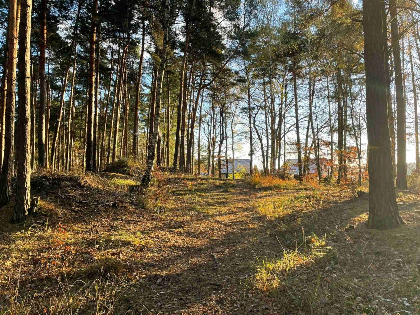 Predaj domu 73 m², pozemek 899 m², 23716, Líský, Středočeský kraj Predaj domu 73 m², pozemek 899 m², 23716, Líský, Středočeský kraj