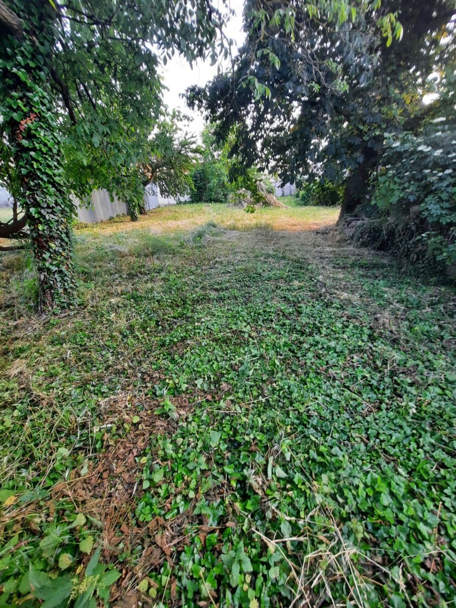 Predaj domu 714 m², pozemek 1.389 m², Jilemnického, Gbely, Trnavský kraj Predaj domu 714 m², pozemek 1.389 m², Jilemnického, Gbely, Trnavský kraj