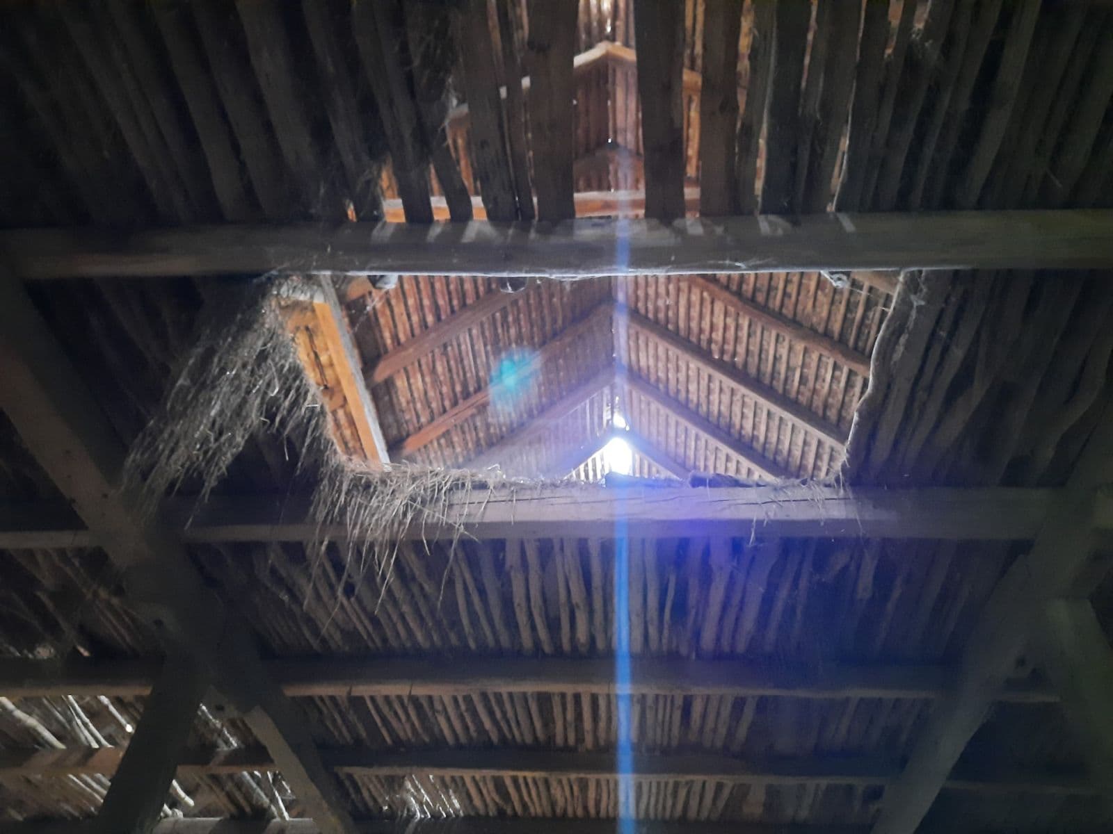 Predaj domu 714 m², pozemek 1.389 m², Jilemnického, Gbely, Trnavský kraj Predaj domu 714 m², pozemek 1.389 m², Jilemnického, Gbely, Trnavský kraj