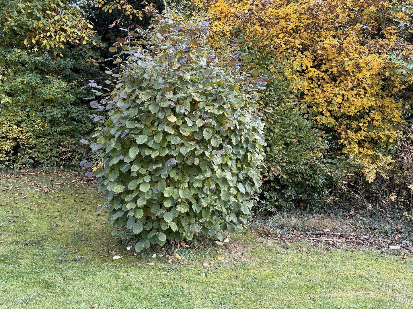 Predaj pozemku 797 m², Uehlfeld, Bavorsko Predaj pozemku 797 m², Uehlfeld, Bavorsko