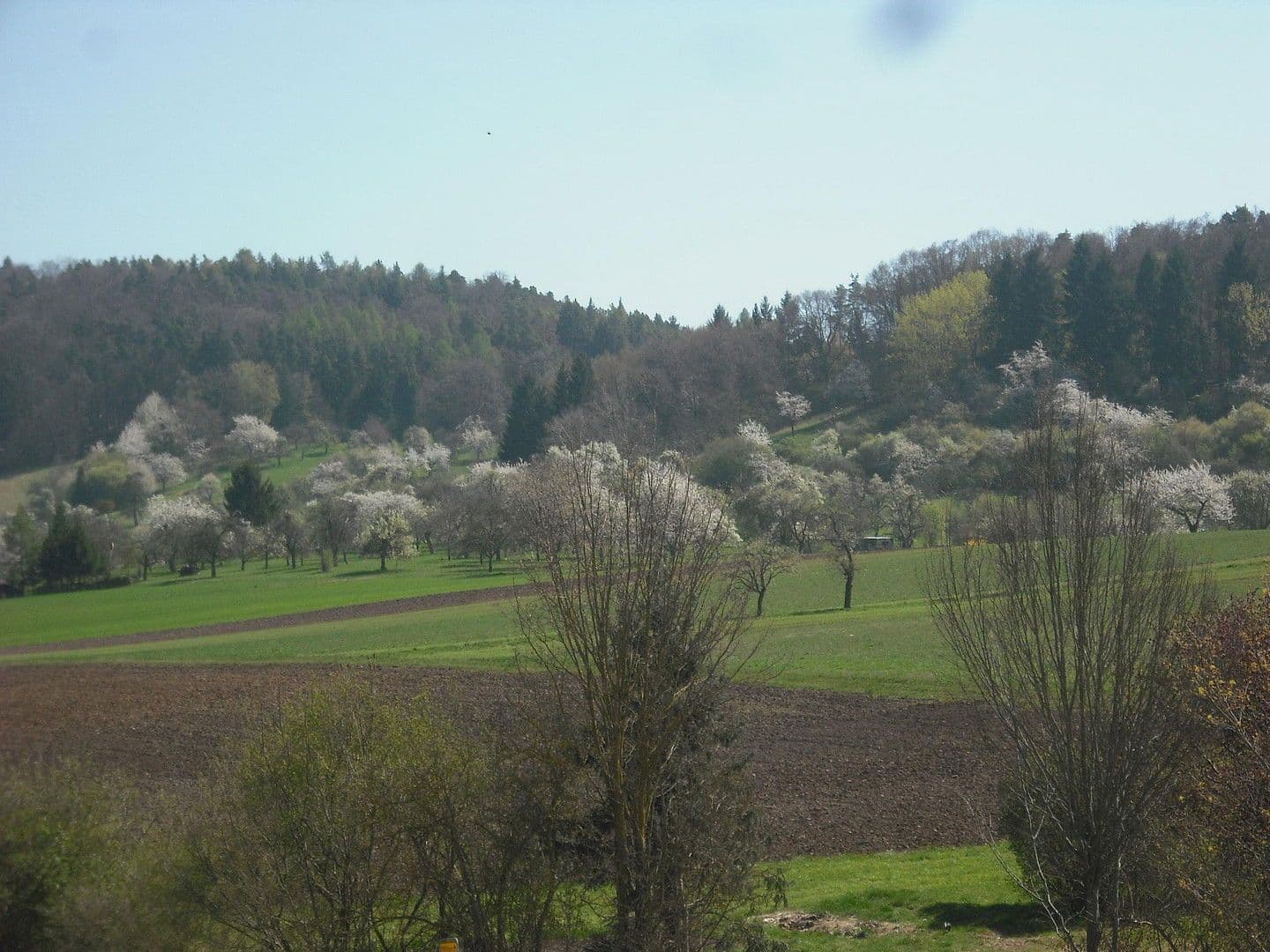 Predaj bytu 4-izbový 98 m², Ammerbuch, Bádensko-Wurttembersko Predaj bytu 4-izbový 98 m², Ammerbuch, Bádensko-Wurttembersko