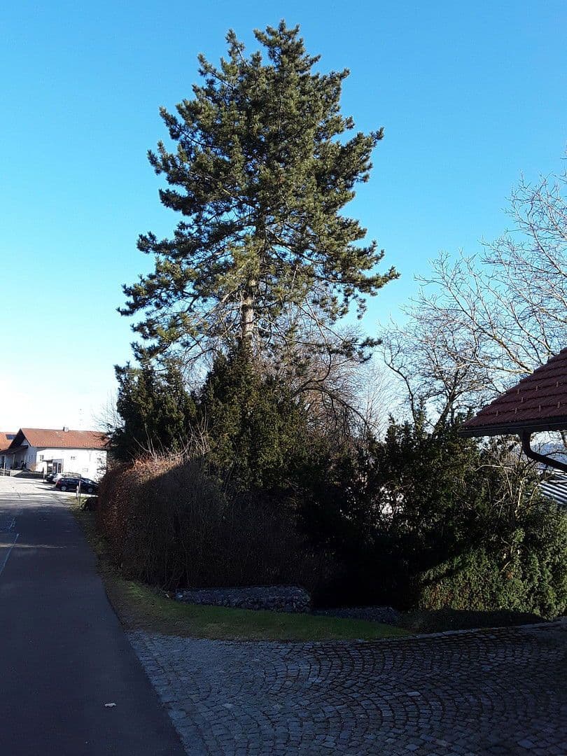 Predaj domu 252 m², pozemek 1.535 m², Wegscheid, Bavorsko Predaj domu 252 m², pozemek 1.535 m², Wegscheid, Bavorsko