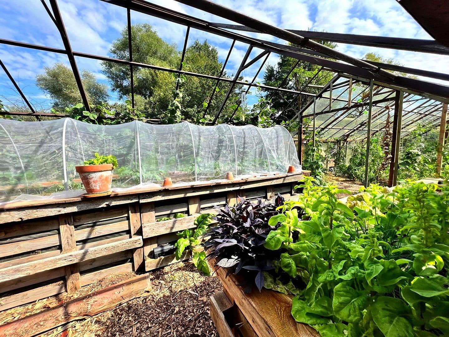 Predaj domu 900 m², pozemek 17.233 m², Badinger Weg 25, Zehdenick, Brandenbursko Predaj domu 900 m², pozemek 17.233 m², Badinger Weg 25, Zehdenick, Brandenbursko