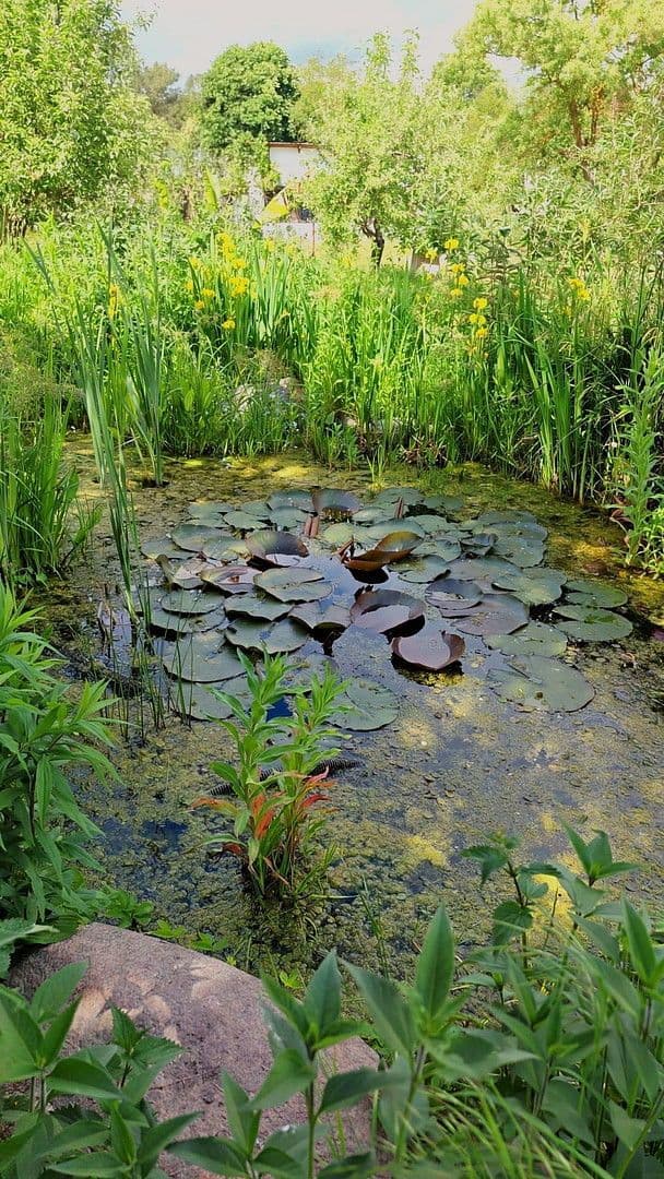 Predaj domu 900 m², pozemek 17.233 m², Badinger Weg 25, Zehdenick, Brandenbursko Predaj domu 900 m², pozemek 17.233 m², Badinger Weg 25, Zehdenick, Brandenbursko