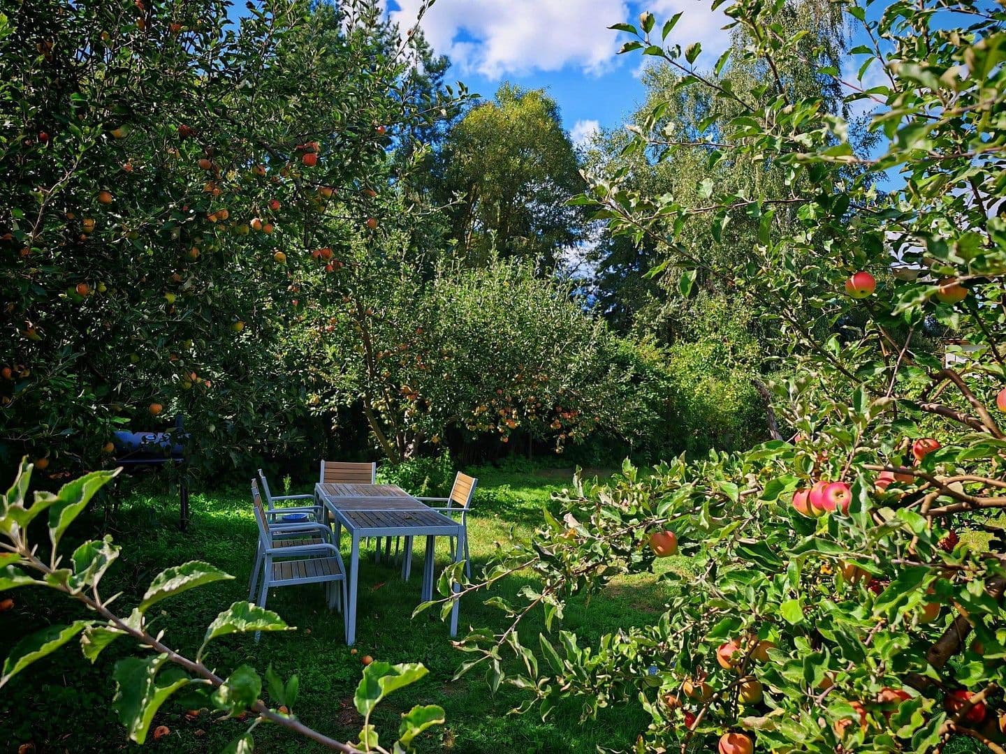 Predaj domu 900 m², pozemek 17.233 m², Badinger Weg 25, Zehdenick, Brandenbursko Predaj domu 900 m², pozemek 17.233 m², Badinger Weg 25, Zehdenick, Brandenbursko