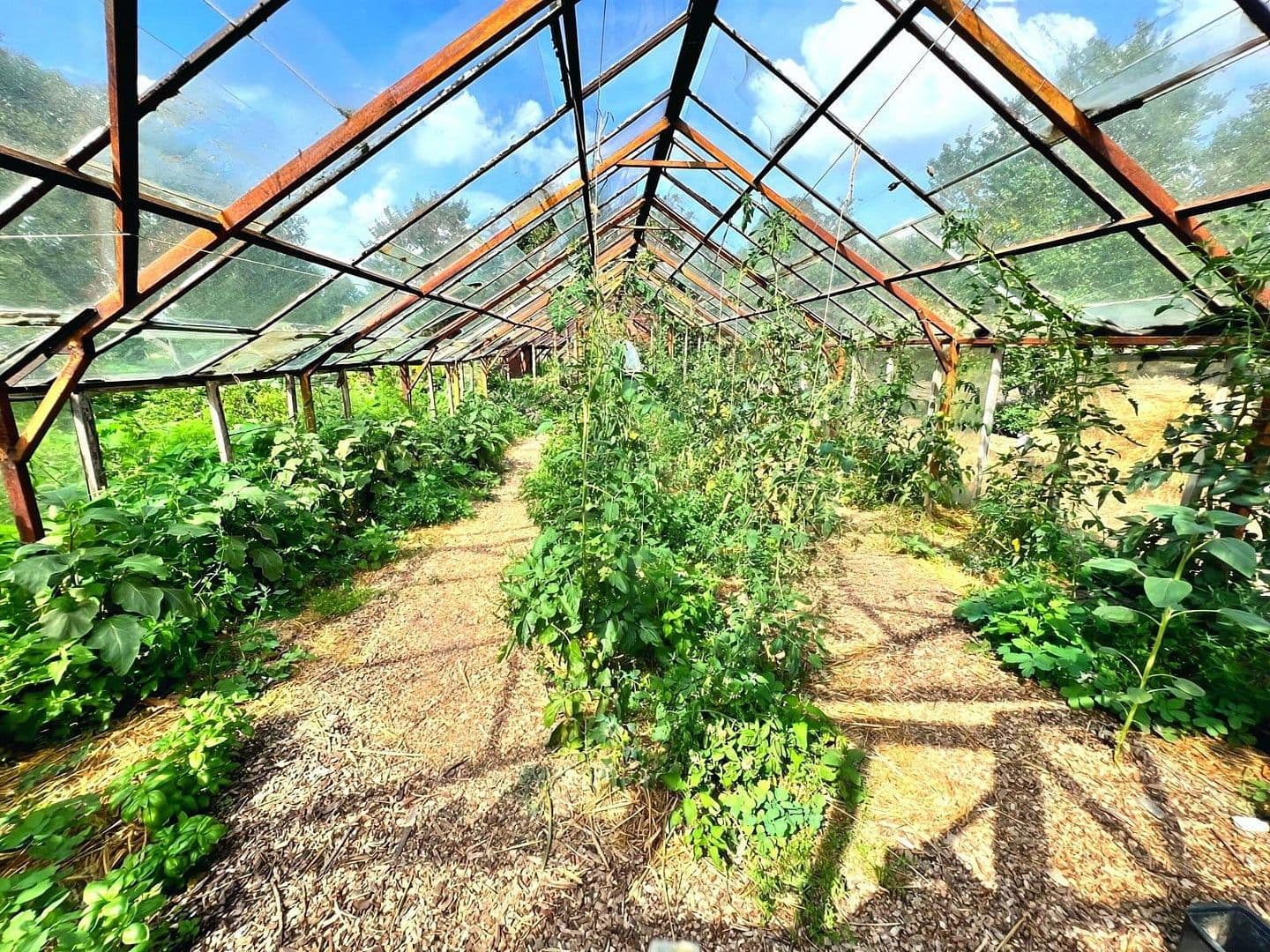 Predaj domu 900 m², pozemek 17.233 m², Badinger Weg 25, Zehdenick, Brandenbursko Predaj domu 900 m², pozemek 17.233 m², Badinger Weg 25, Zehdenick, Brandenbursko