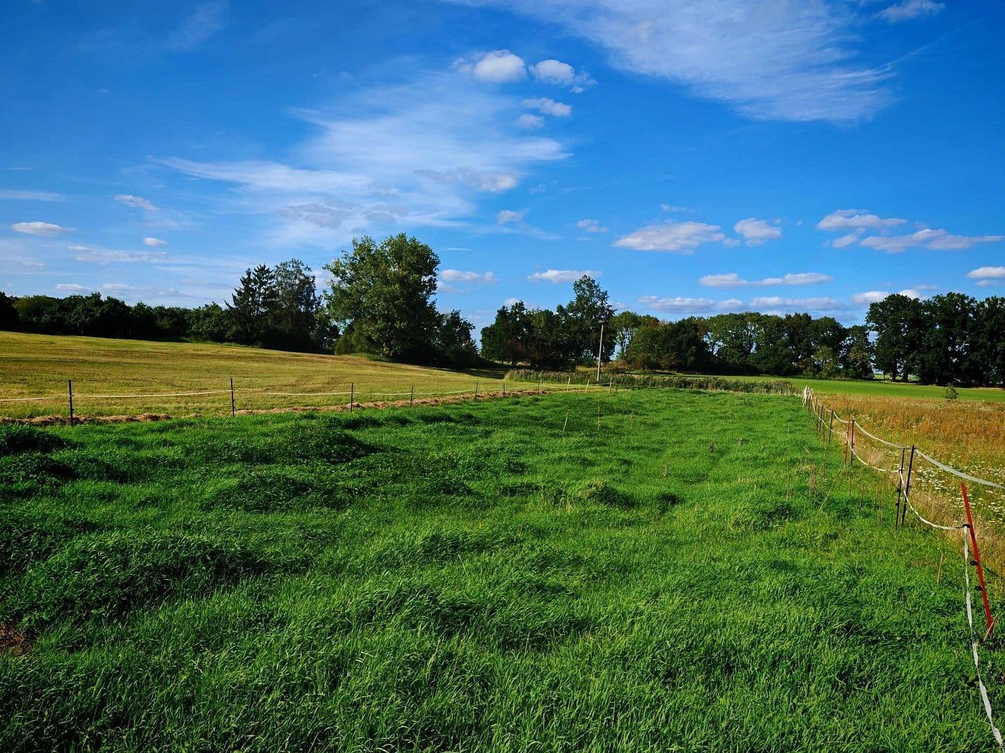 Predaj domu 900 m², pozemek 17.233 m², Badinger Weg 25, Zehdenick, Brandenbursko Predaj domu 900 m², pozemek 17.233 m², Badinger Weg 25, Zehdenick, Brandenbursko