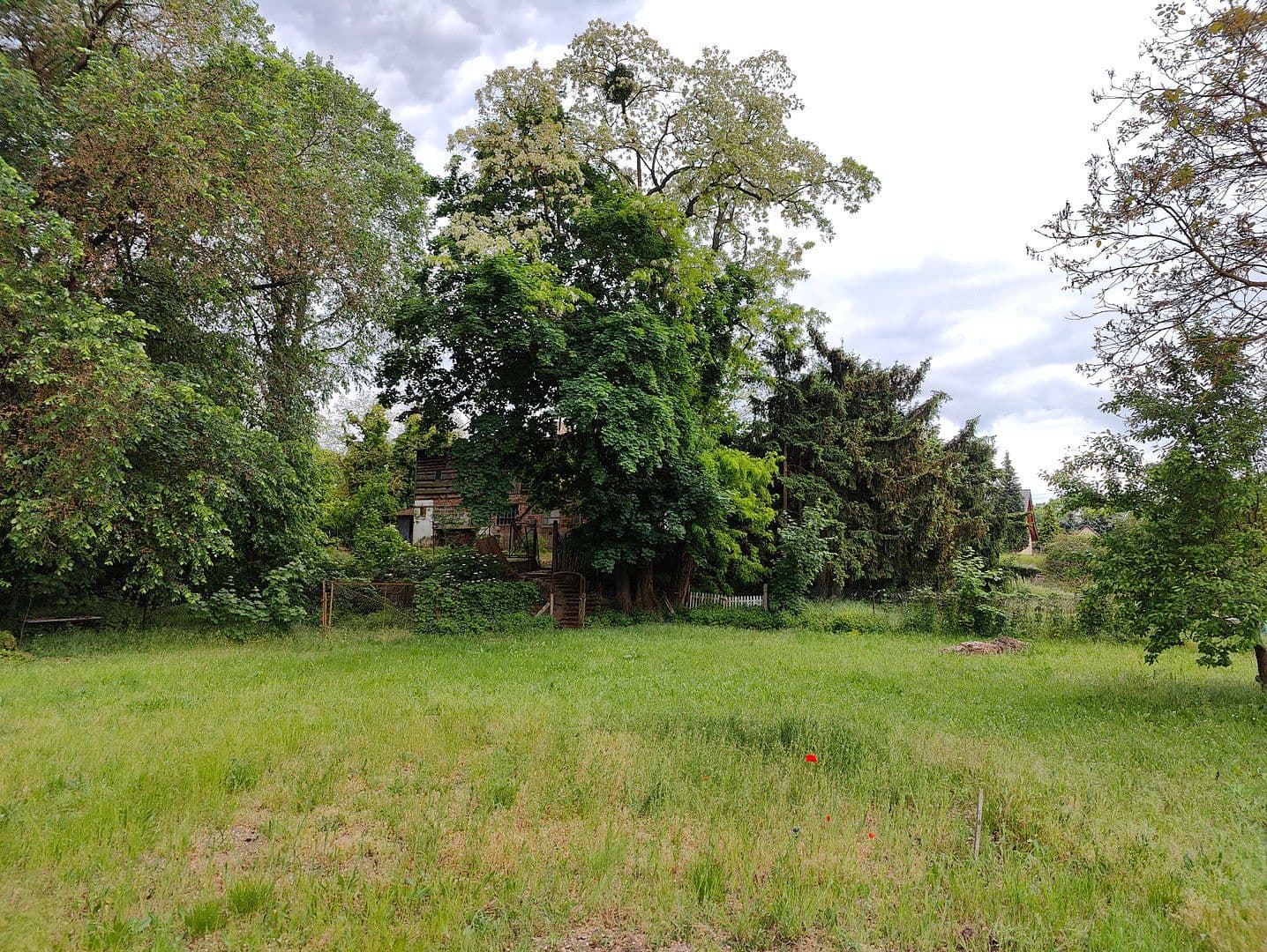 Predaj pozemku 8.608 m², Wilhelmienenberg 14, Bad Freienwalde (Oder), Brandenbursko Predaj pozemku 8.608 m², Wilhelmienenberg 14, Bad Freienwalde (Oder), Brandenbursko