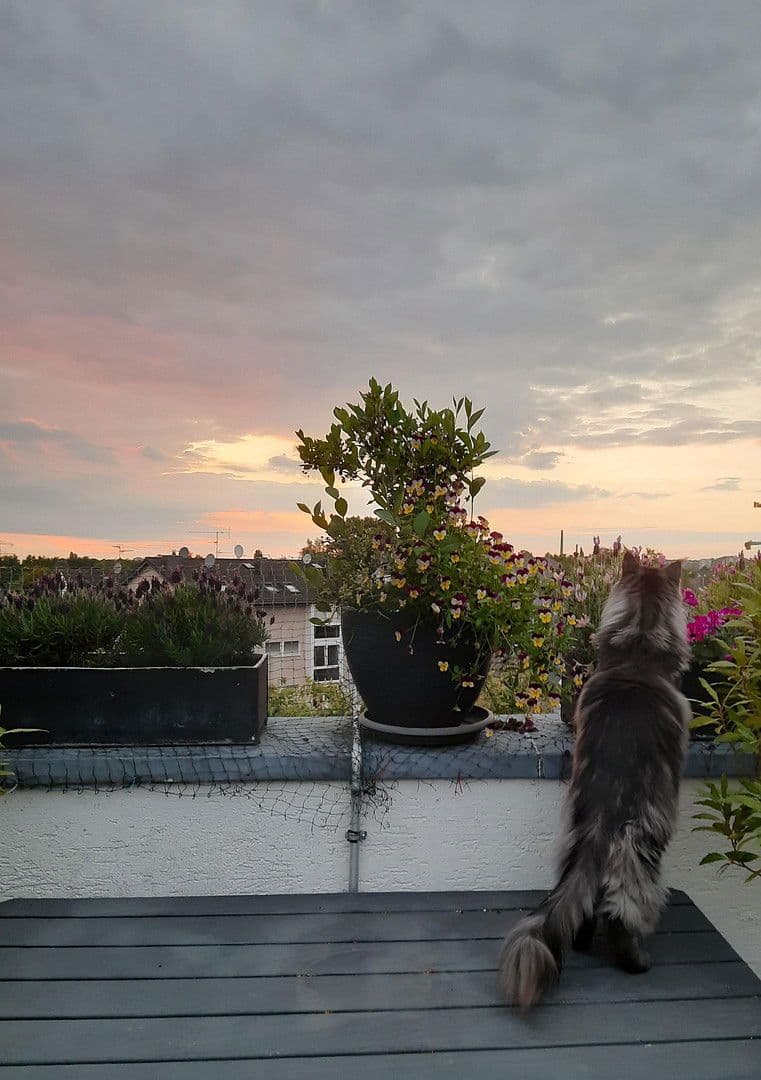 Predaj bytu 7-izbový 192 m², Bergisch Gladbach, Severné Porýnie - Westfálsko Predaj bytu 7-izbový 192 m², Bergisch Gladbach, Severné Porýnie - Westfálsko