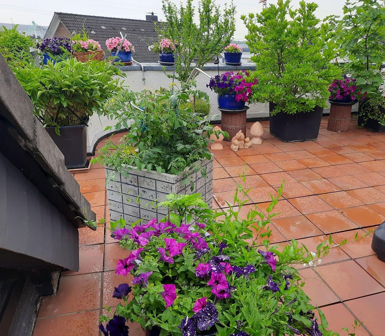 Predaj bytu 7-izbový 192 m², Bergisch Gladbach, Severné Porýnie - Westfálsko Predaj bytu 7-izbový 192 m², Bergisch Gladbach, Severné Porýnie - Westfálsko