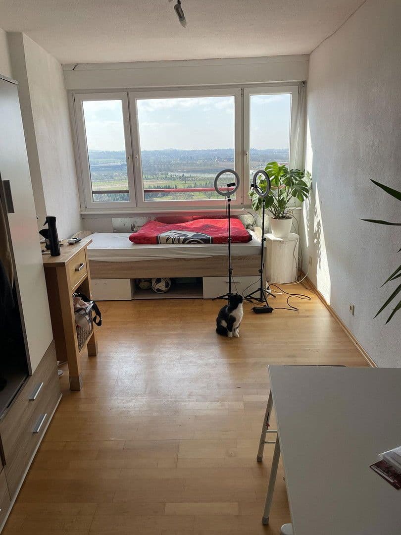 Predaj bytu 5-izbový 140 m², Offenburg, Bádensko-Wurttembersko Predaj bytu 5-izbový 140 m², Offenburg, Bádensko-Wurttembersko