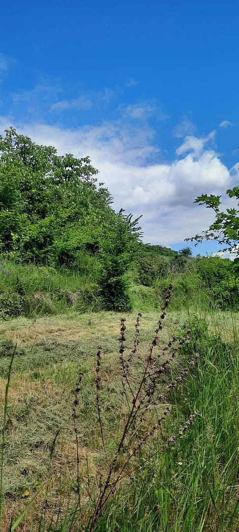 Predaj pozemku 8.272 m², Ranch Ried Retter, Krems, Dolné Rakúsko Predaj pozemku 8.272 m², Ranch Ried Retter, Krems, Dolné Rakúsko