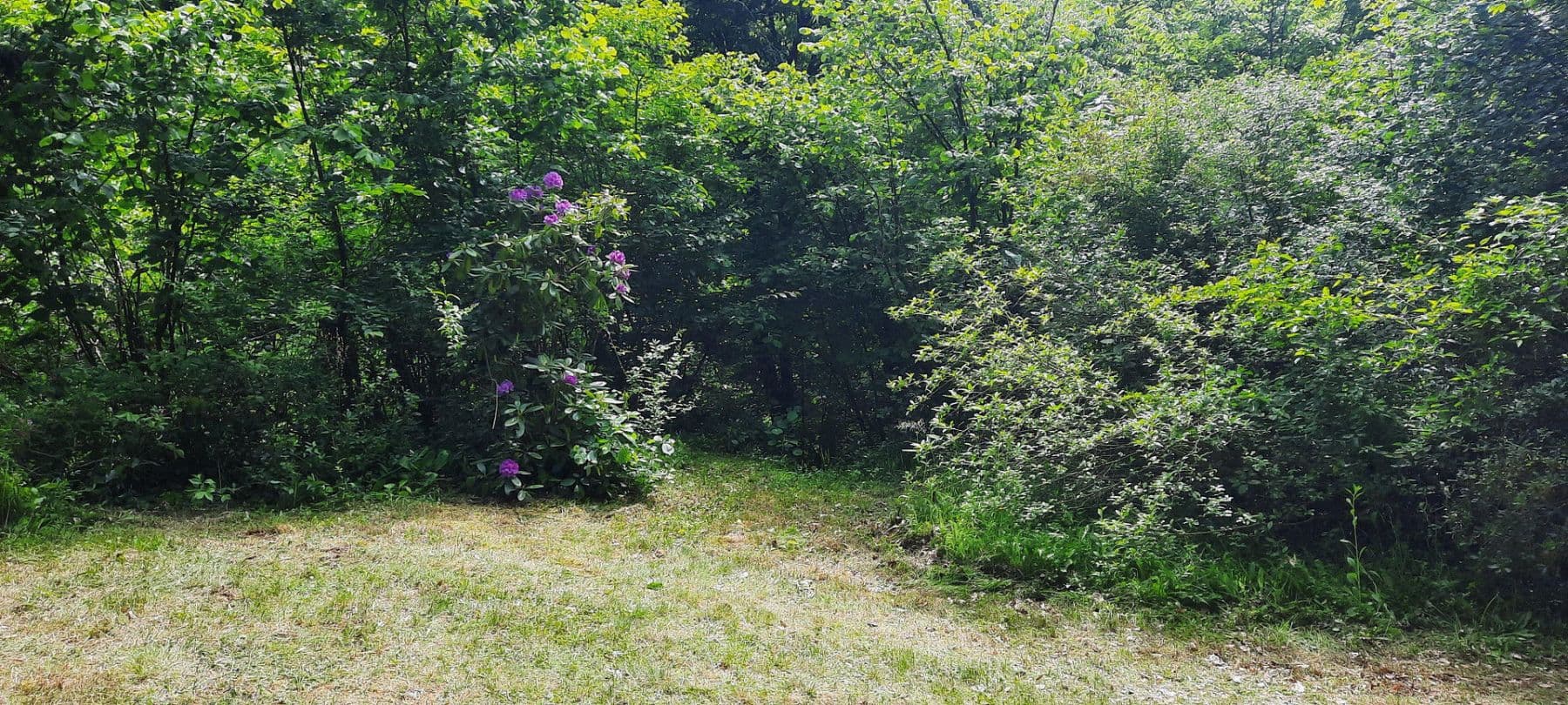 Predaj pozemku 8.272 m², Ranch Ried Retter, Krems, Dolné Rakúsko Predaj pozemku 8.272 m², Ranch Ried Retter, Krems, Dolné Rakúsko