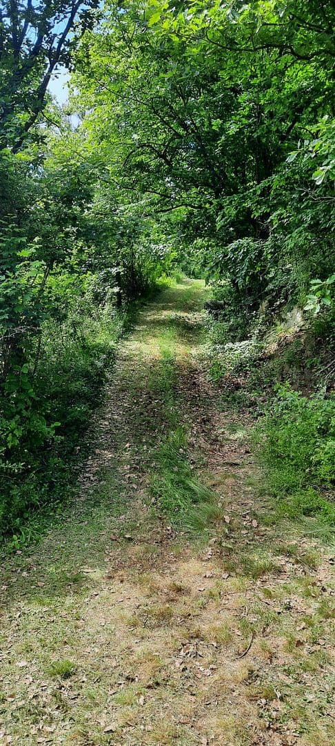 Predaj pozemku 8.272 m², Ranch Ried Retter, Krems, Dolné Rakúsko Predaj pozemku 8.272 m², Ranch Ried Retter, Krems, Dolné Rakúsko