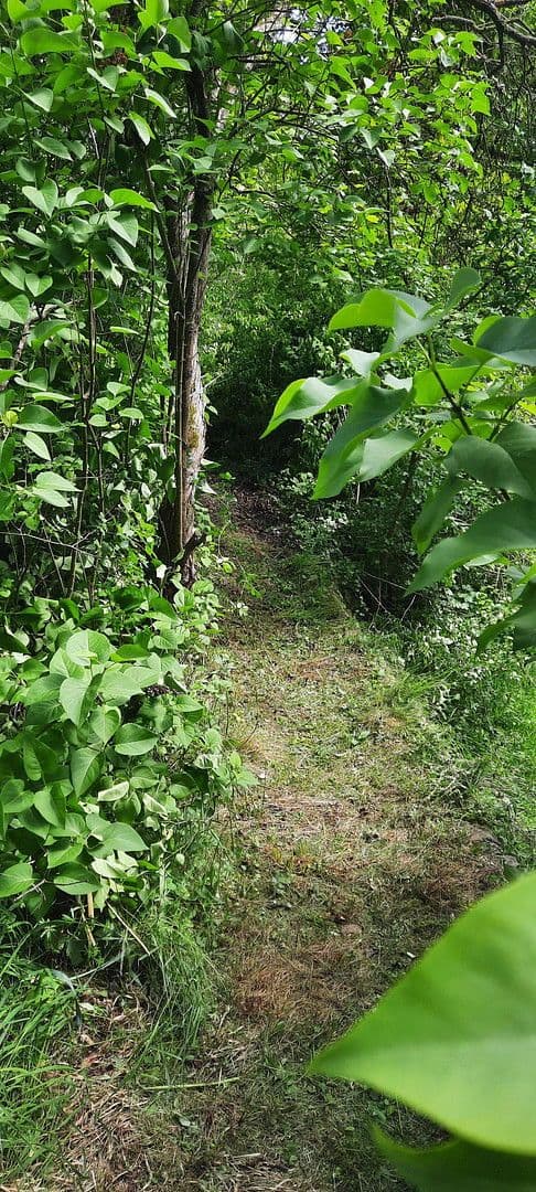 Predaj pozemku 8.272 m², Ranch Ried Retter, Krems, Dolné Rakúsko Predaj pozemku 8.272 m², Ranch Ried Retter, Krems, Dolné Rakúsko