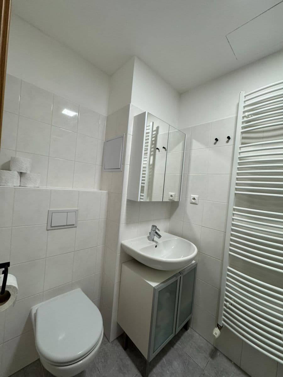 Prenájom bytu 1-izbový 31 m², V Honech, Klecany, Středočeský kraj Prenájom bytu 1-izbový 31 m², V Honech, Klecany, Středočeský kraj