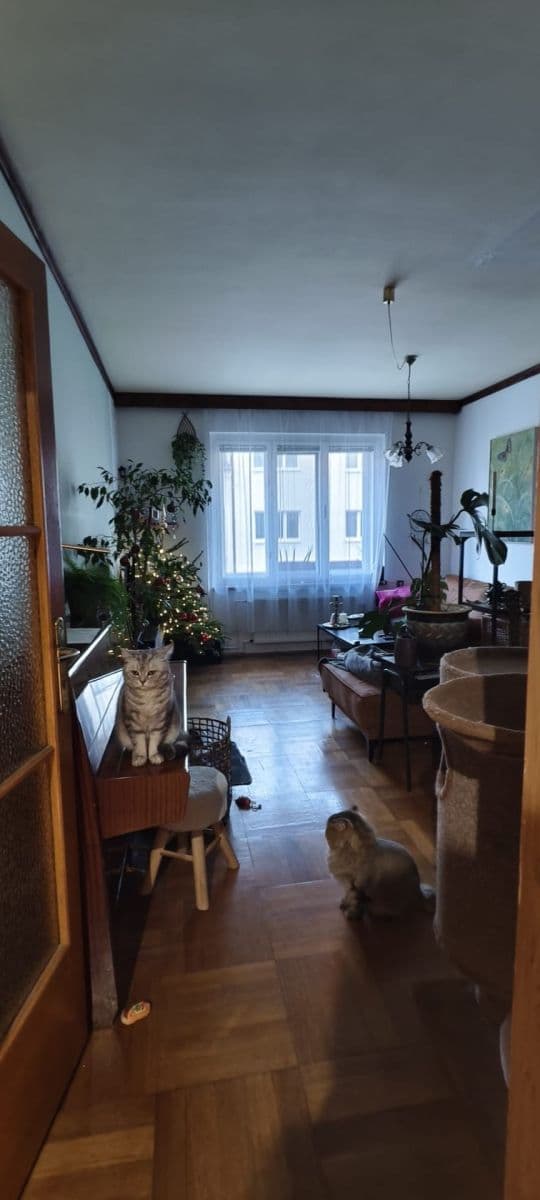 Prenájom bytu 2-izbový 75 m², Slámova, Brno, Jihomoravský kraj Prenájom bytu 2-izbový 75 m², Slámova, Brno, Jihomoravský kraj