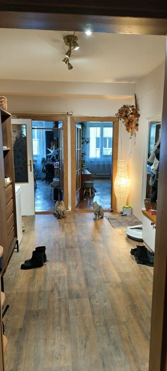 Prenájom bytu 2-izbový 75 m², Slámova, Brno, Jihomoravský kraj Prenájom bytu 2-izbový 75 m², Slámova, Brno, Jihomoravský kraj