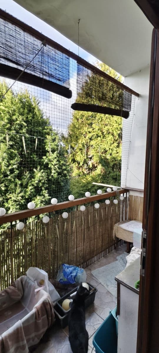 Prenájom bytu 2-izbový 75 m², Slámova, Brno, Jihomoravský kraj Prenájom bytu 2-izbový 75 m², Slámova, Brno, Jihomoravský kraj