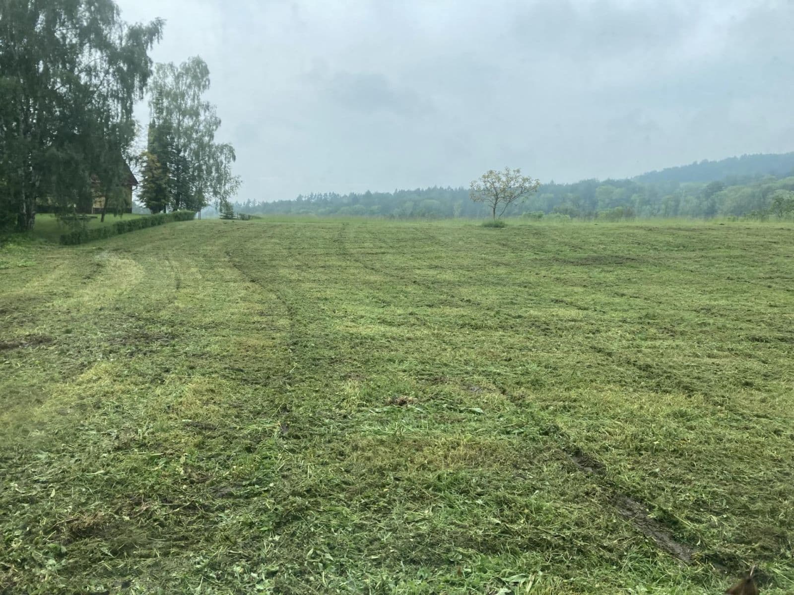 Predaj pozemku 3.967 m², Třebívlice, Ústecký kraj Predaj pozemku 3.967 m², Třebívlice, Ústecký kraj