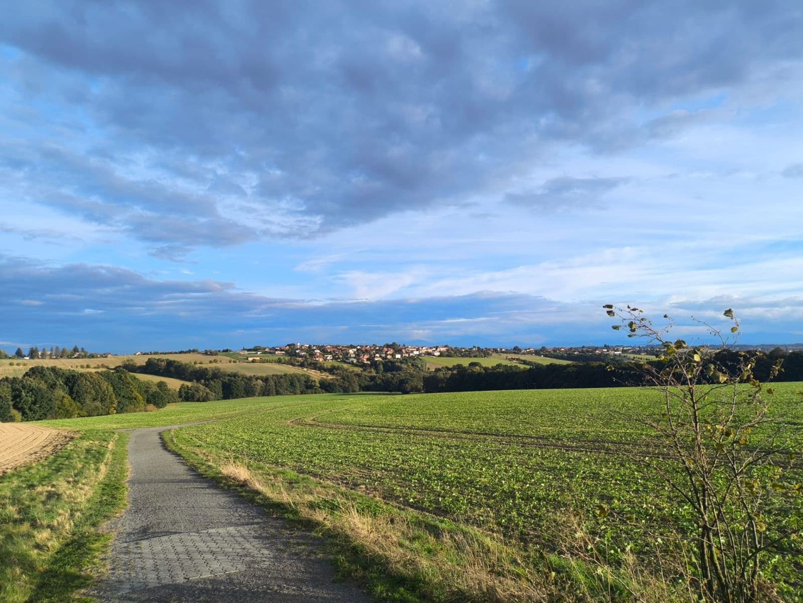 Predaj bytu 2-izbový 53 m², Aleše Hrdličky, Ostrava, Moravskoslezský kraj Predaj bytu 2-izbový 53 m², Aleše Hrdličky, Ostrava, Moravskoslezský kraj