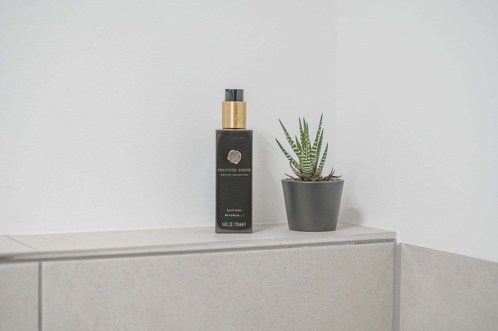 Prenájom bytu 2-izbový 46 m², Wannweiler Straße 68, Kirchentellinsfurt, Bádensko-Wurttembersko Prenájom bytu 2-izbový 46 m², Wannweiler Straße 68, Kirchentellinsfurt, Bádensko-Wurttembersko