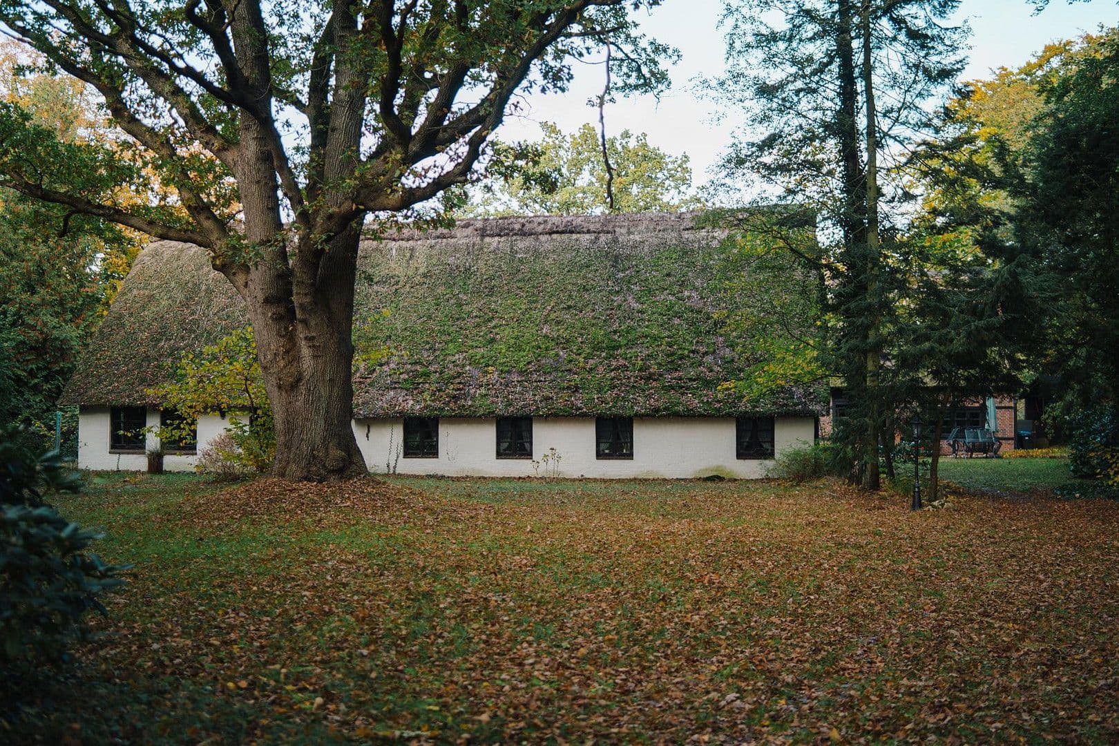 Predaj domu 348 m², pozemek 6.456 m², Wingst, Dolné Sasko Predaj domu 348 m², pozemek 6.456 m², Wingst, Dolné Sasko