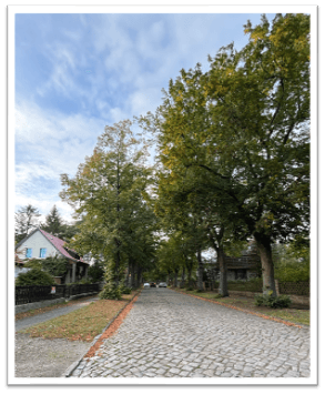 Predaj domu 75 m², pozemek 726 m², Zeuthen, Brandenbursko Predaj domu 75 m², pozemek 726 m², Zeuthen, Brandenbursko