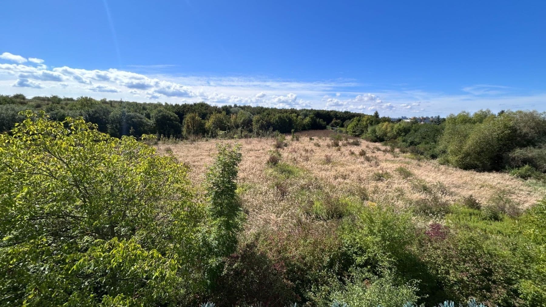 Prenájom bytu 1-izbový 34 m², Františka Diviše, Praha, Praha Prenájom bytu 1-izbový 34 m², Františka Diviše, Praha, Praha