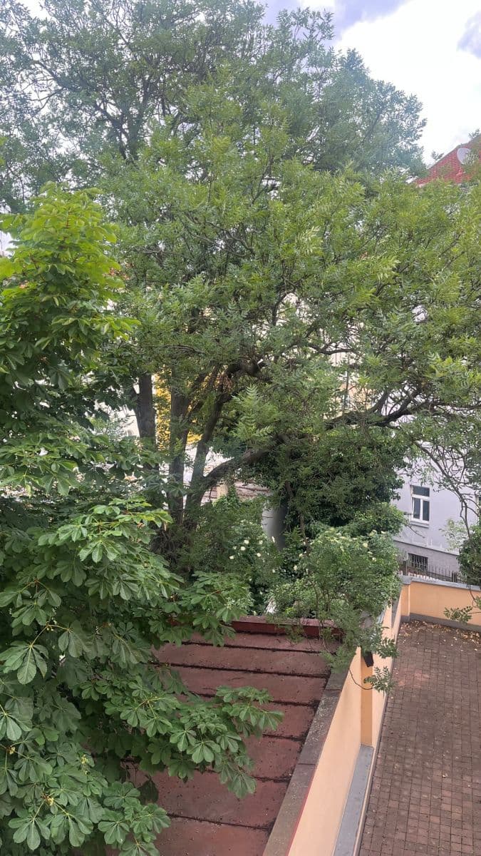 Prenájom bytu 3-izbový 65 m², Nuselská, Praha, Praha Prenájom bytu 3-izbový 65 m², Nuselská, Praha, Praha